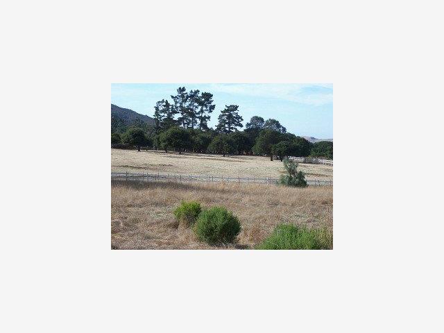 137 PINE CANYON Road, SALINAS, California 93908, ,Lots And Land,For Sale,PINE CANYON Road,40966813