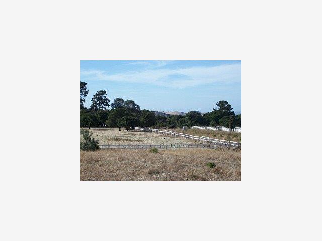 137 PINE CANYON Road, SALINAS, California 93908, ,Lots And Land,For Sale,PINE CANYON Road,40966813