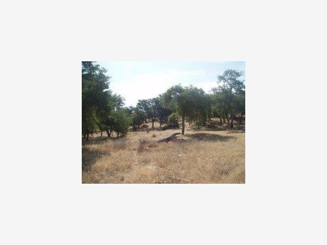0 Jolon Road, OTHER - SEE REMARKS, California 93426, ,Lots And Land,For Sale,Jolon Road,40966720