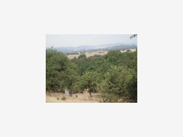 0 Jolon Road, OTHER - SEE REMARKS, California 93426, ,Lots And Land,For Sale,Jolon Road,40966720