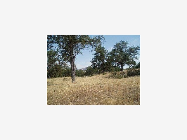 0 Jolon Road, OTHER - SEE REMARKS, California 93426, ,Lots And Land,For Sale,Jolon Road,40966720