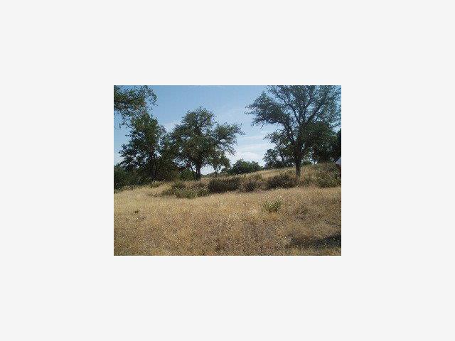 0 Jolon Road, OTHER - SEE REMARKS, California 93426, ,Lots And Land,For Sale,Jolon Road,40966720