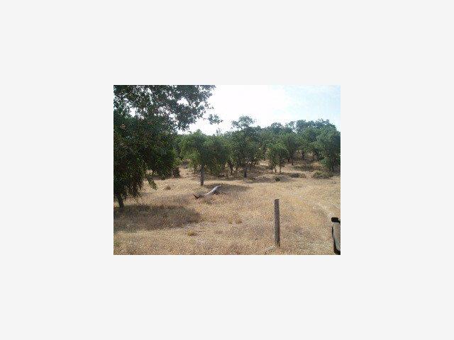 0 Jolon Road, OTHER - SEE REMARKS, California 93426, ,Lots And Land,For Sale,Jolon Road,40966720