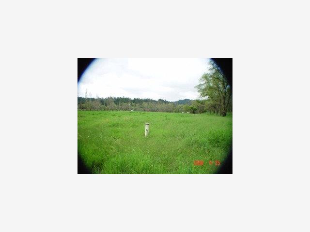 1133 Bennett Lane, CALISTOGA, California 94515, ,Lots And Land,For Sale,Bennett Lane,40966826