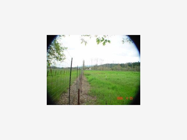 1133 Bennett Lane, CALISTOGA, California 94515, ,Lots And Land,For Sale,Bennett Lane,40966826