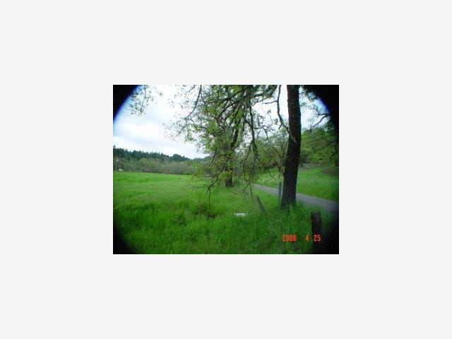 1133 Bennett Lane, CALISTOGA, California 94515, ,Lots And Land,For Sale,Bennett Lane,40966826