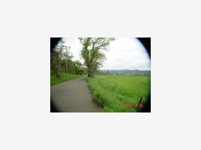 1133 Bennett Lane, CALISTOGA, California 94515, ,Lots And Land,For Sale,Bennett Lane,40966826