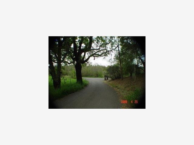 1133 Bennett Lane, CALISTOGA, California 94515, ,Lots And Land,For Sale,Bennett Lane,40966826