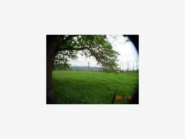 1133 Bennett Lane, CALISTOGA, California 94515, ,Lots And Land,For Sale,Bennett Lane,40966826