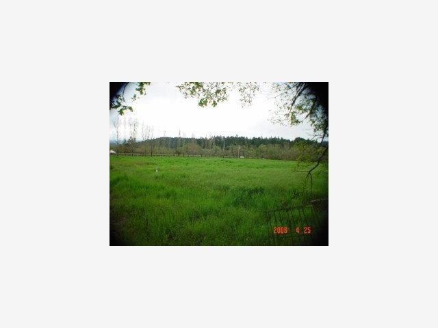 1133 Bennett Lane, CALISTOGA, California 94515, ,Lots And Land,For Sale,Bennett Lane,40966826