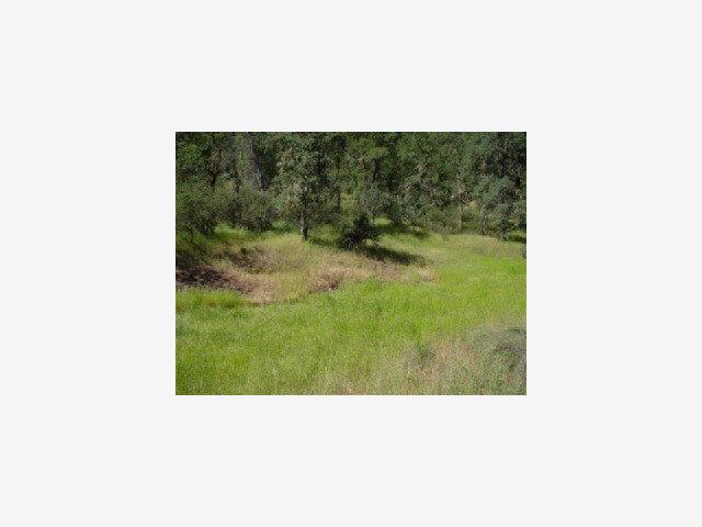 17198 DOG BAR Road, GRASS VALLEY, California 95949, ,Lots And Land,For Sale,DOG BAR Road,40966752