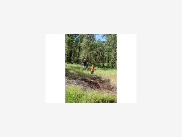 17198 DOG BAR Road, GRASS VALLEY, California 95949, ,Lots And Land,For Sale,DOG BAR Road,40966752