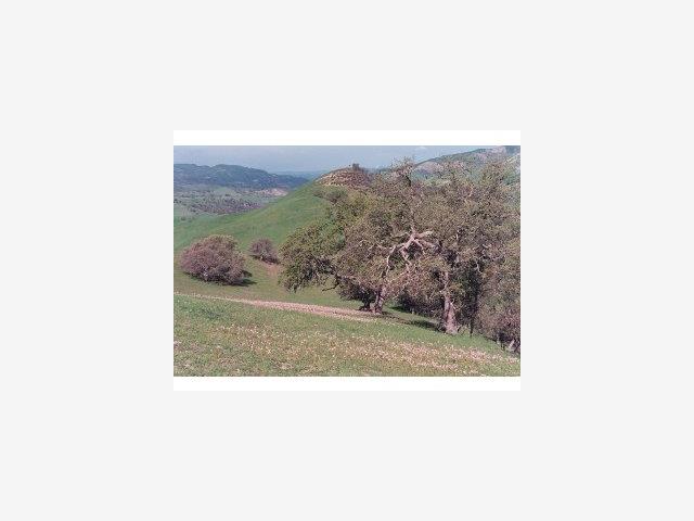 10388 PANOCHE Road, OTHER - SEE REMARKS, California 95043, ,Lots And Land,For Sale,PANOCHE Road,40966693