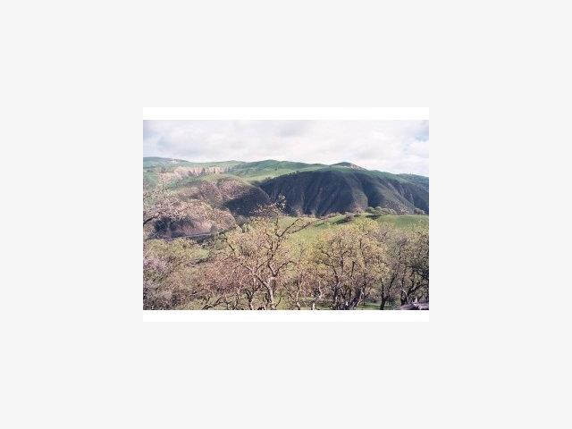10388 PANOCHE Road, OTHER - SEE REMARKS, California 95043, ,Lots And Land,For Sale,PANOCHE Road,40966693