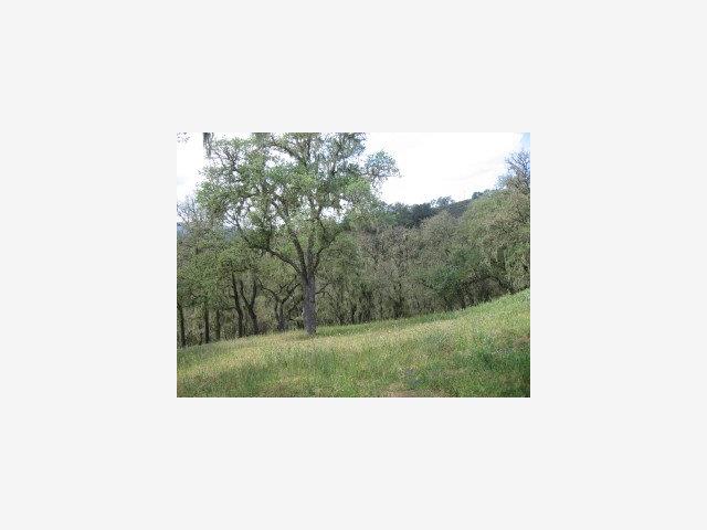 2169 Ridge Rider Road, OTHER - SEE REMARKS, California 93426, ,Lots And Land,For Sale,Ridge Rider Road,40966723