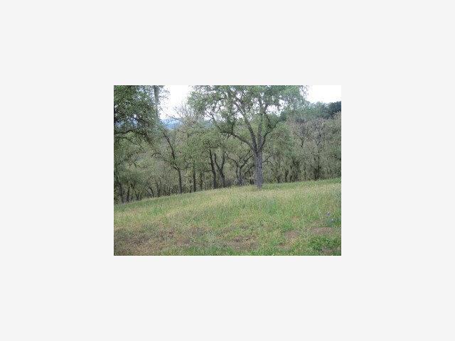 2169 Ridge Rider Road, OTHER - SEE REMARKS, California 93426, ,Lots And Land,For Sale,Ridge Rider Road,40966723