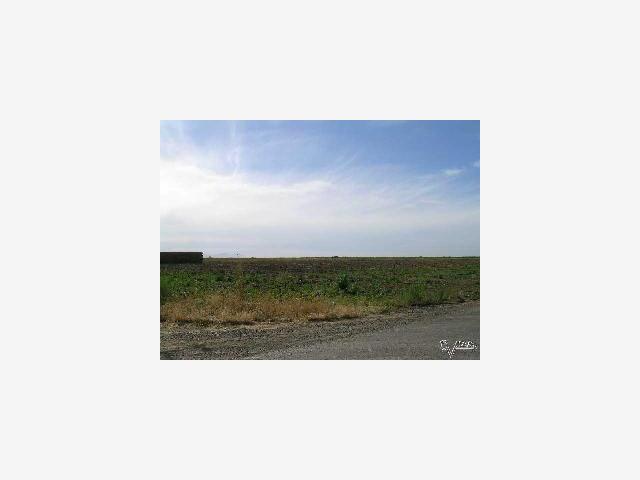 33801 Koster Road, TRACY, California 95304, ,Lots And Land,For Sale,Koster Road,40967045