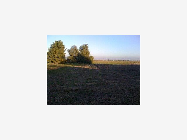 33672 BEVIS Road, TRACY, California 95304, ,Lots And Land,For Sale,BEVIS Road,40966695
