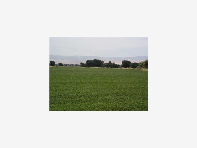 1 Canal BLVRD, TRACY, California 95304, ,Lots And Land,For Sale,Canal BLVRD,40967140