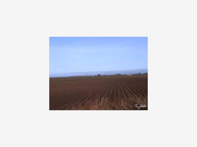 11937 Wing Levee Road, TRACY, California 95206, ,Lots And Land,For Sale,Wing Levee Road,40966985