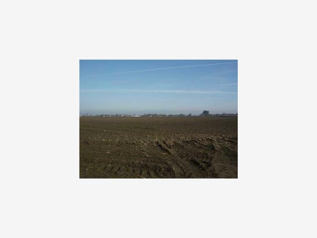 11937 Wing Levee Road, TRACY, California 95206, ,Lots And Land,For Sale,Wing Levee Road,40966985