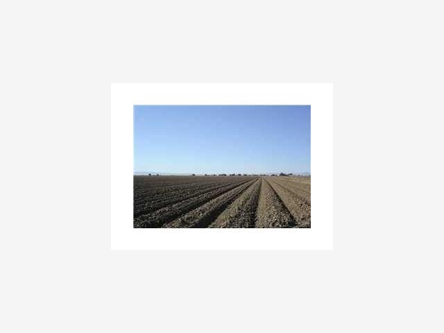 4300 UNDINE Road, STOCKTON, California 95206, ,Lots And Land,For Sale,UNDINE Road,40966707