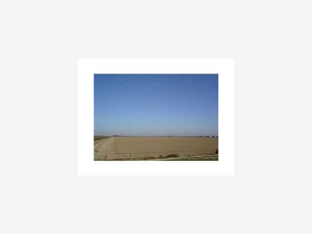 4300 UNDINE Road, STOCKTON, California 95206, ,Lots And Land,For Sale,UNDINE Road,40966707