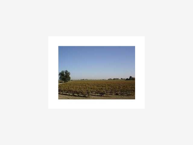 4300 UNDINE Road, STOCKTON, California 95206, ,Lots And Land,For Sale,UNDINE Road,40966707