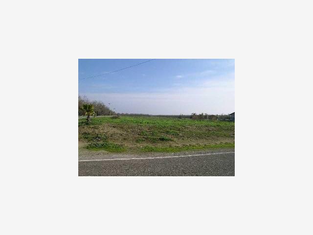 23510 Olive, RIPON, California 95366, ,Lots And Land,For Sale,Olive,40967214