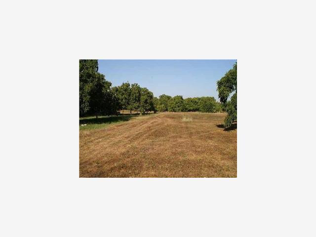 2875 Beecher Road, STOCKTON, California 95215, ,Lots And Land,For Sale,Beecher Road,40967182