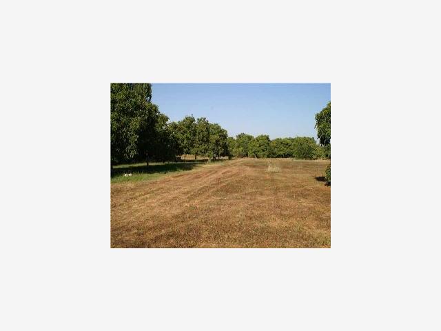 2875 Beecher Road, STOCKTON, California 95215, ,Lots And Land,For Sale,Beecher Road,40967182