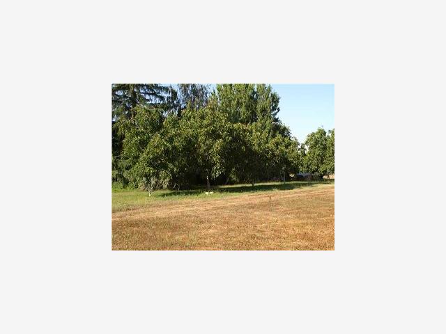 2875 Beecher Road, STOCKTON, California 95215, ,Lots And Land,For Sale,Beecher Road,40967182