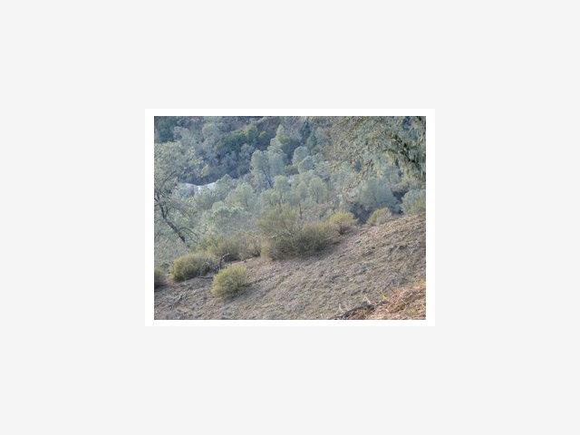 2653 Pine Ridge Road, OTHER - SEE REMARKS, California 93426, ,Lots And Land,For Sale,Pine Ridge Road,40966701
