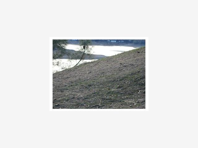 2653 Pine Ridge Road, OTHER - SEE REMARKS, California 93426, ,Lots And Land,For Sale,Pine Ridge Road,40966701