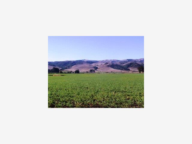 3515 Turri Road, SAN LUIS OBISPO, California 93405, ,Lots And Land,For Sale,Turri Road,40966709