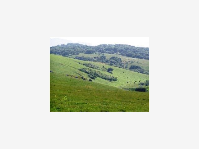 3515 Turri Road, SAN LUIS OBISPO, California 93405, ,Lots And Land,For Sale,Turri Road,40966709