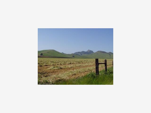 3515 Turri Road, SAN LUIS OBISPO, California 93405, ,Lots And Land,For Sale,Turri Road,40966709