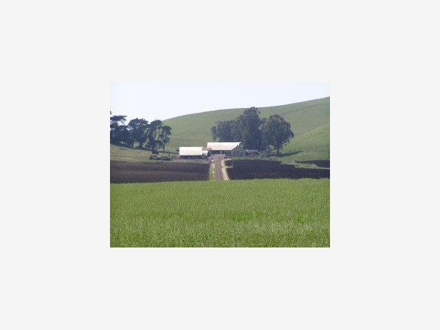 3515 Turri Road, SAN LUIS OBISPO, California 93405, ,Lots And Land,For Sale,Turri Road,40966709