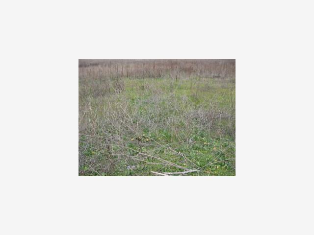 0 Rose Avenue, HALF MOON BAY, California 94019, ,Lots And Land,For Sale,Rose Avenue,40966764