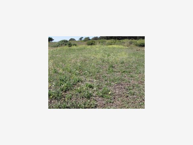 0 Central Avenue, HALF MOON BAY, California 94019, ,Lots And Land,For Sale,Central Avenue,40966724