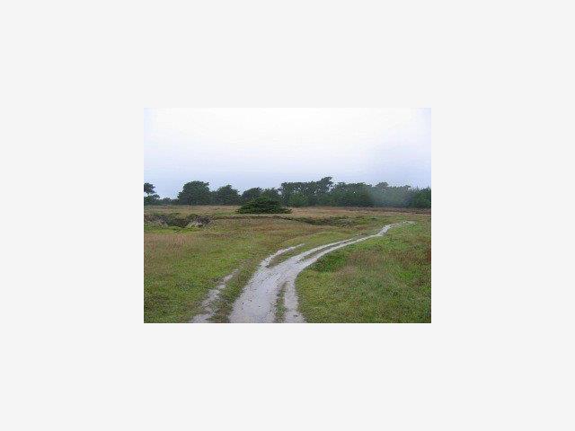 0 Ocean Blvd, HALF MOON BAY, California 94019, ,Lots And Land,For Sale,Ocean Blvd,40966690
