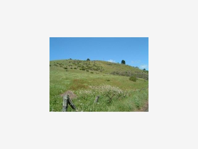 0 PURISSIMA CREEK Road, HALF MOON BAY, California 94019, ,Lots And Land,For Sale,PURISSIMA CREEK Road,40966814