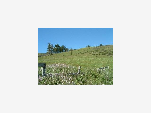 0 PURISSIMA CREEK Road, HALF MOON BAY, California 94019, ,Lots And Land,For Sale,PURISSIMA CREEK Road,40966814