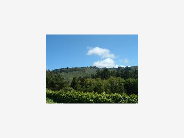 0 PURISSIMA CREEK Road, HALF MOON BAY, California 94019, ,Lots And Land,For Sale,PURISSIMA CREEK Road,40966814
