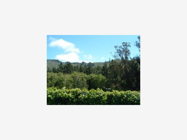 0 PURISSIMA CREEK Road, HALF MOON BAY, California 94019, ,Lots And Land,For Sale,PURISSIMA CREEK Road,40966814
