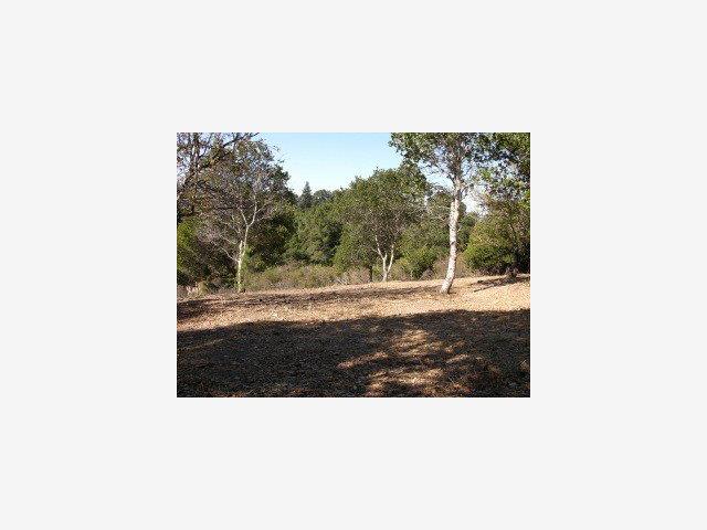 1465 BLACK MOUNTAIN Road, HILLSBOROUGH, California 94010, ,Lots And Land,For Sale,BLACK MOUNTAIN Road,40966688