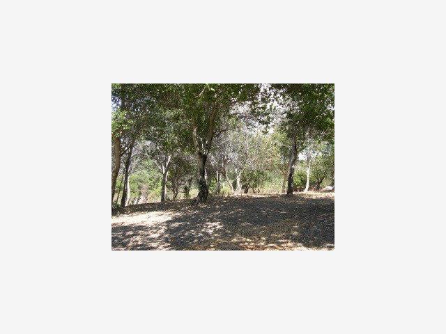 1465 BLACK MOUNTAIN Road, HILLSBOROUGH, California 94010, ,Lots And Land,For Sale,BLACK MOUNTAIN Road,40966688