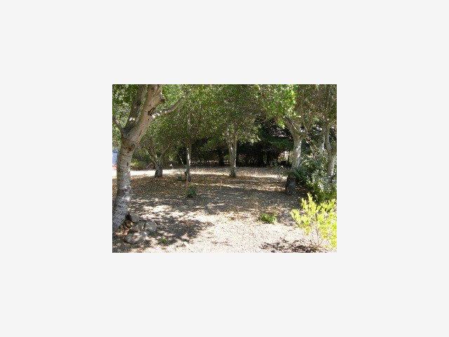 1465 BLACK MOUNTAIN Road, HILLSBOROUGH, California 94010, ,Lots And Land,For Sale,BLACK MOUNTAIN Road,40966688
