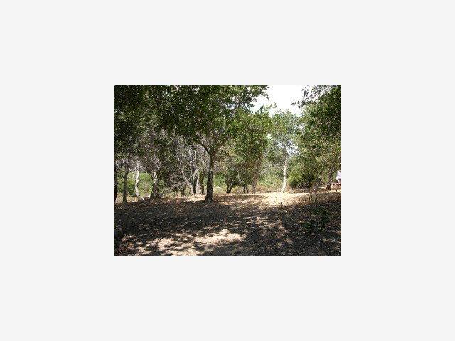 1465 BLACK MOUNTAIN Road, HILLSBOROUGH, California 94010, ,Lots And Land,For Sale,BLACK MOUNTAIN Road,40966688