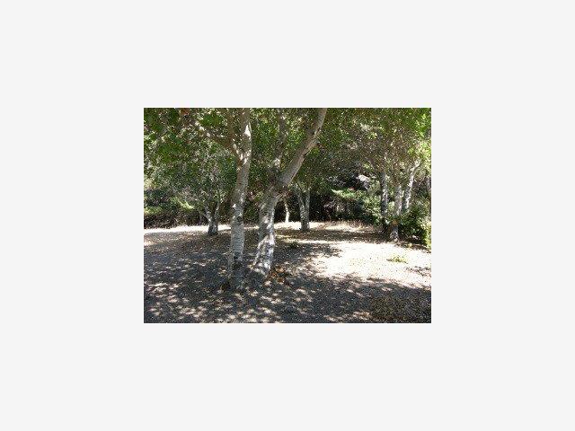 1465 BLACK MOUNTAIN Road, HILLSBOROUGH, California 94010, ,Lots And Land,For Sale,BLACK MOUNTAIN Road,40966688